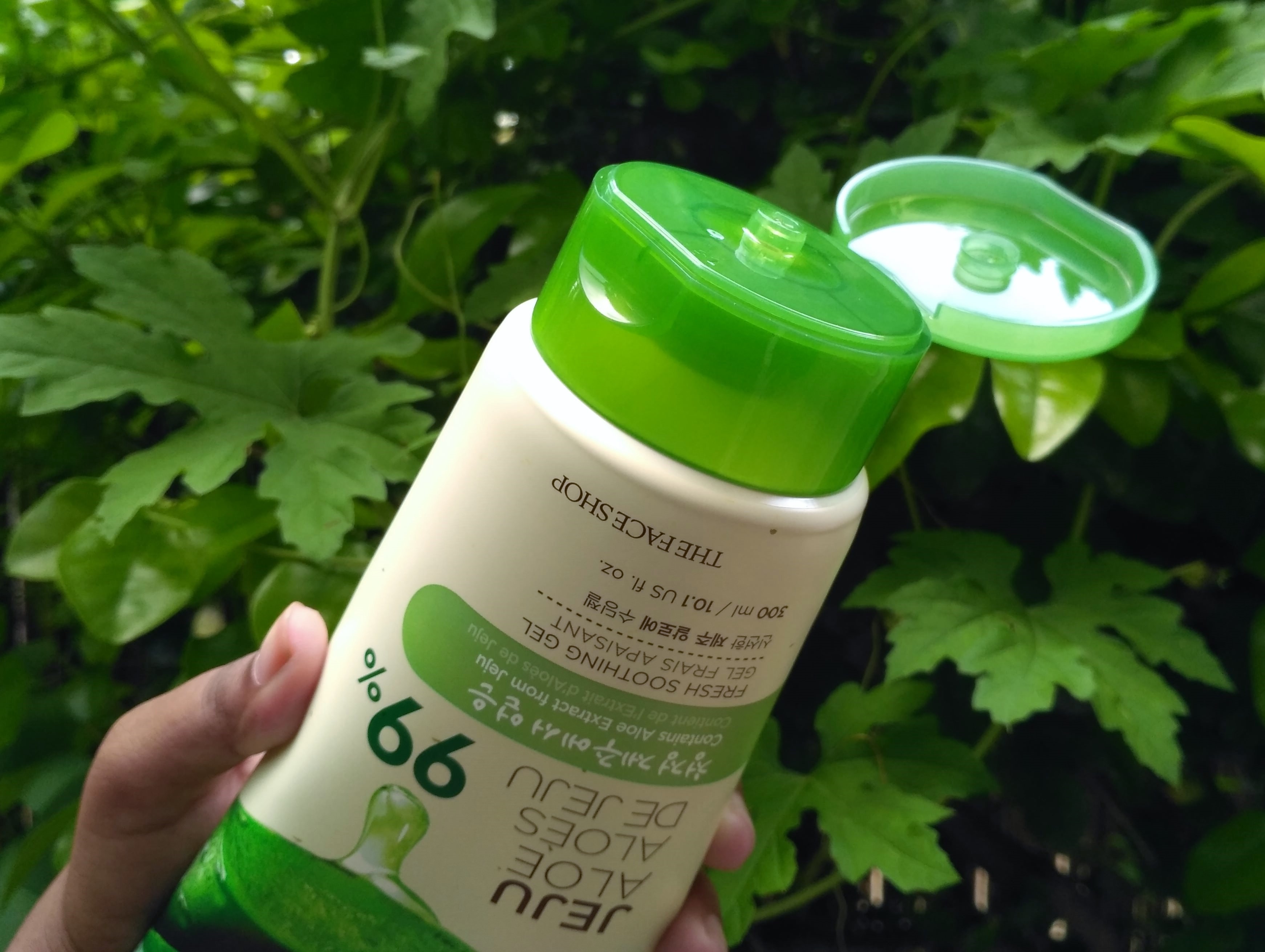 The Face Shop Jeju Aloe Fresh Soothing Gel Review