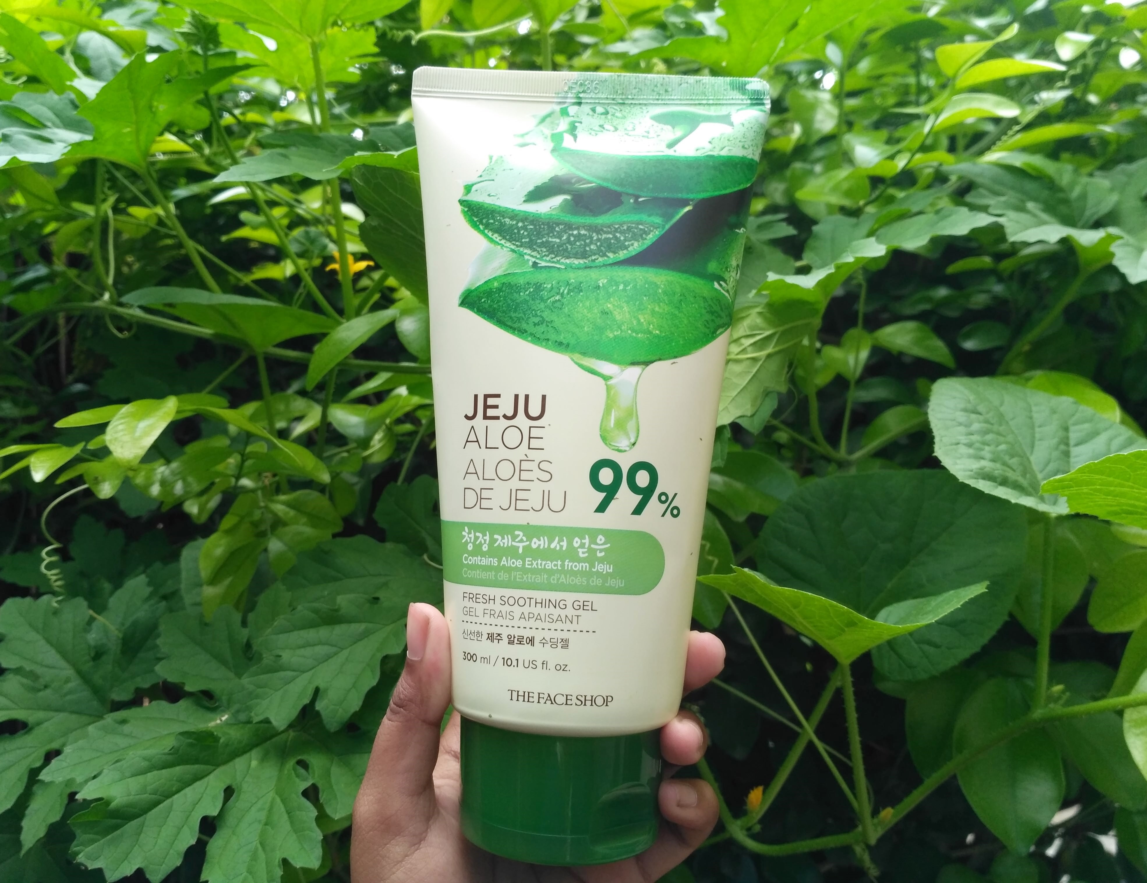 The Face Shop Jeju Aloe Fresh Soothing Gel Review