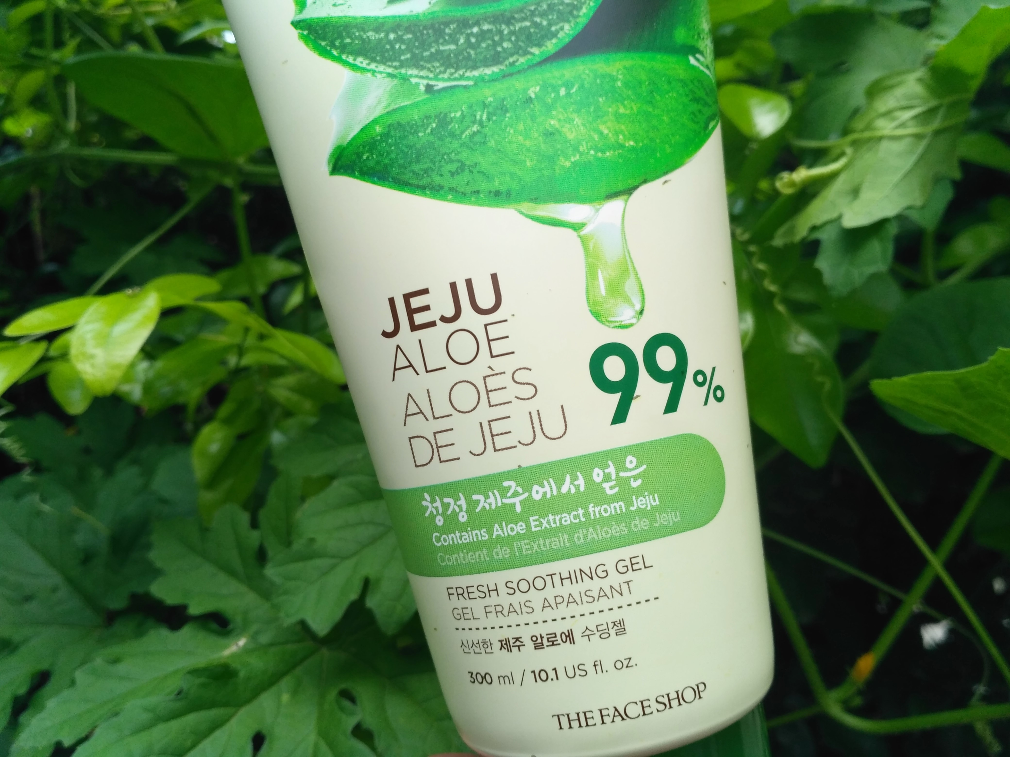 The Face Shop Jeju Aloe Fresh Soothing Gel Review