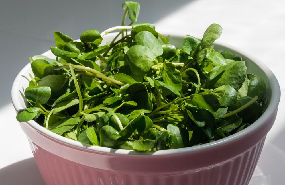 benefits of watercress for skin