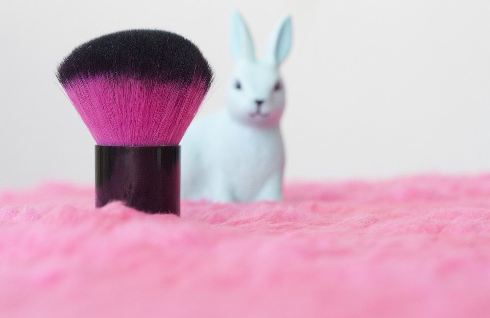 cruelty free makeup