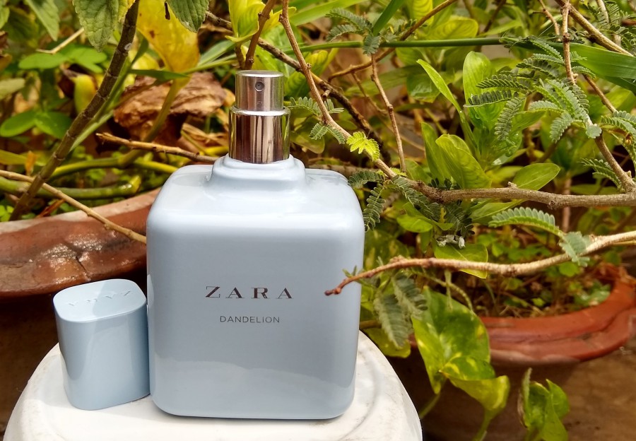 Zara Dandelion Perfume Review