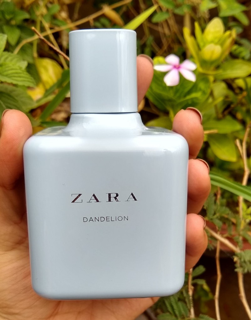 zara perfume dandelion