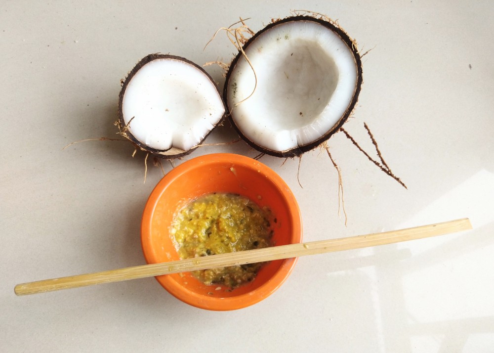 Homemade Coconut Face Mask Recipe