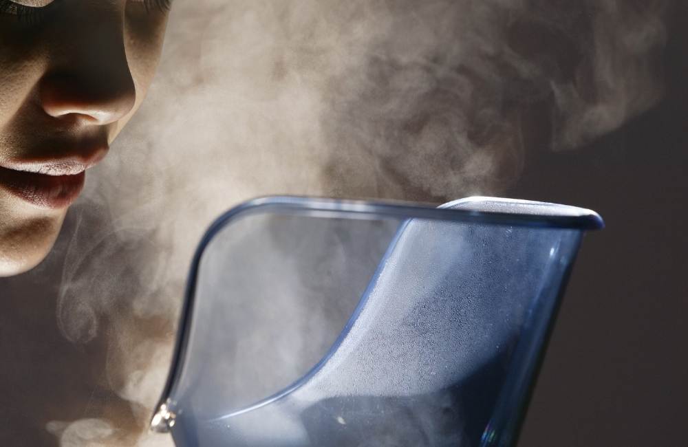 face steamer at home